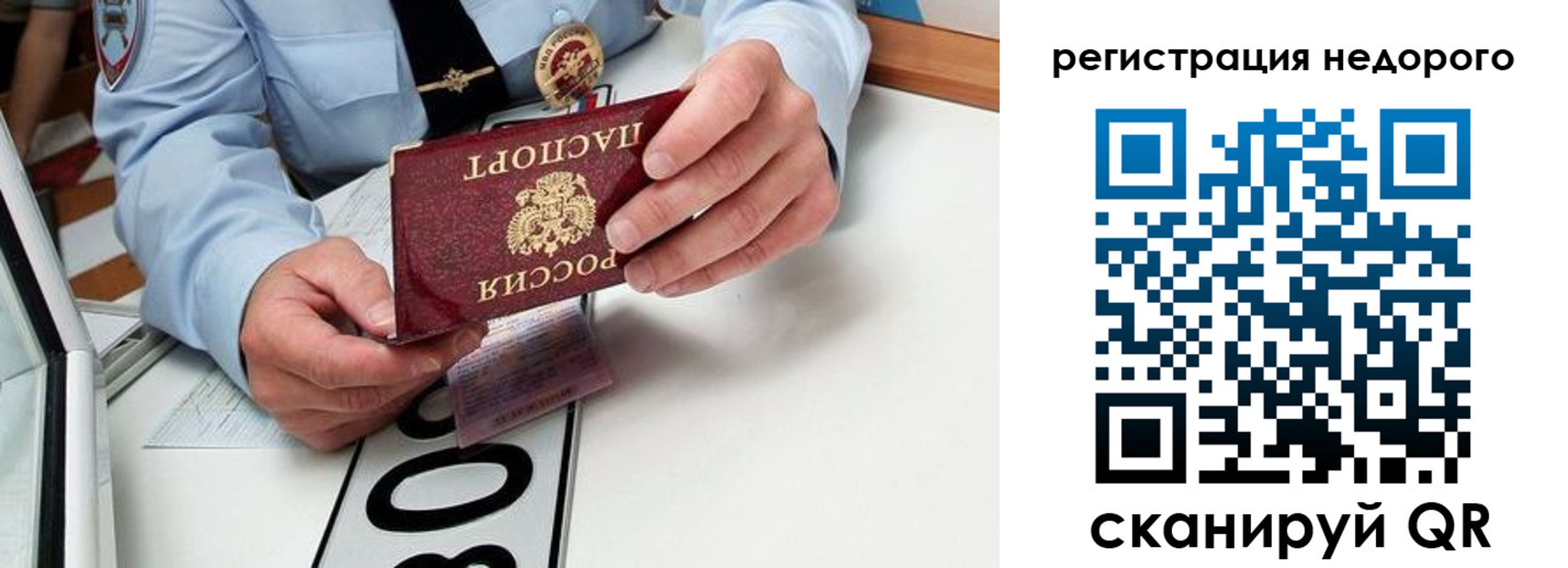 прописка ребенка в Пионерском
